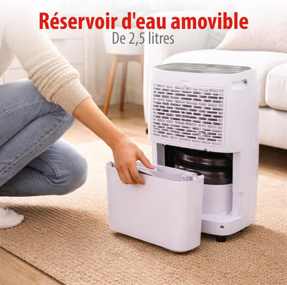  Alpina Déshumidificateur D’Air – Déshumidificateur D Air Anti Moisissure Et Anti Humidité Pour Maison Jusqu’à 20m² – Absorbeur D’Humidité Électrique – Absorbeur D’Odeur – Déshumidificateurs Compact