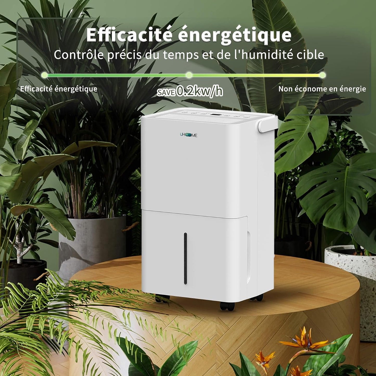  Uhome Déshumidificateur électrique, 12 L/24 H, Déshumidificateur D'ambiance 54 M³/18 M², Avec Arrêt Automatique, Capteur D'humidité, Mode Lavage Et Filtre à Charbon Actif, Tuyau D'arrosage